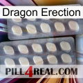 Dragon Erection 07